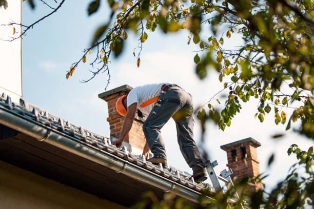 Best Storm Damage Roof Repair  in Hannibal, MO