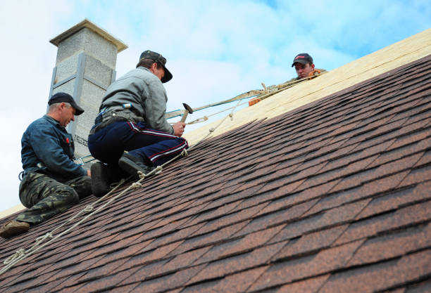 Quick and Trustworthy Emergency Roof Repair Services in Hannibal, MO