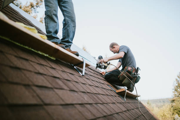 Best Residential Roofing Contractor  in Hannibal, MO